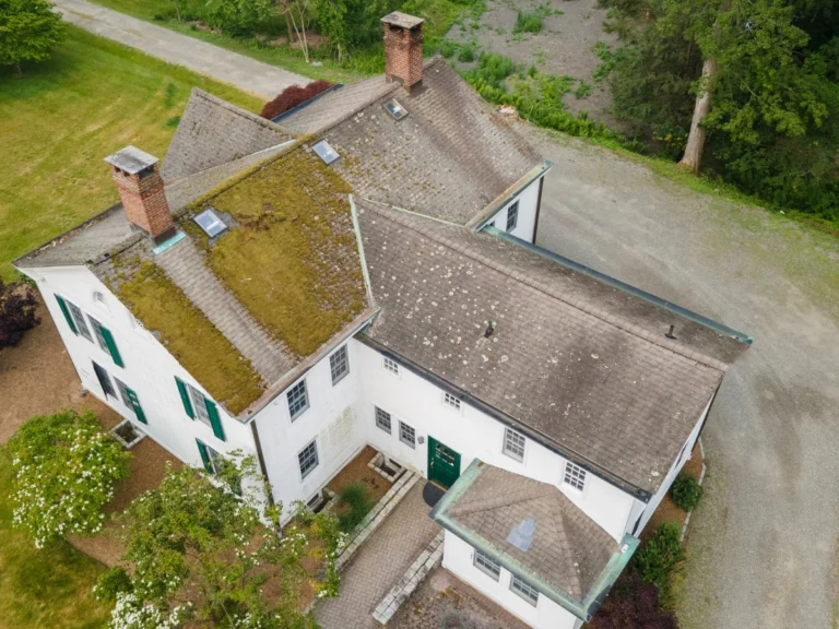 old roof covered in moss before roof replacement