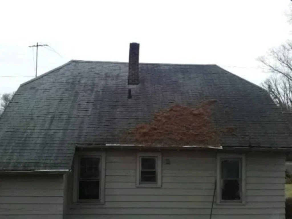 old roof with discolored shingles